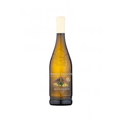 Pivnica Radošina Sauvignon...